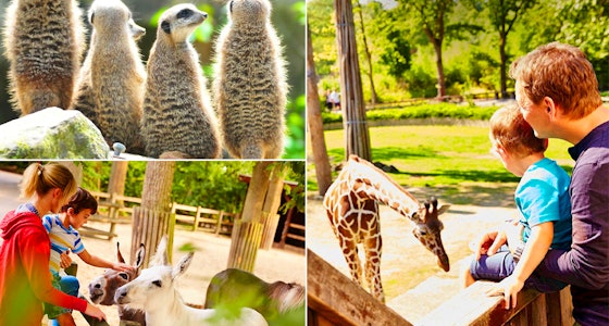 2 tickets voor Allwetterzoo Münster in Duitsland!