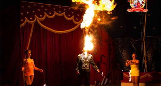 Ticket voor Nationaal Circus Barani!
