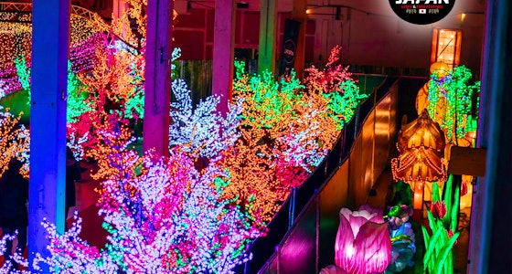 Ticket voor Japan Light & Food Festival