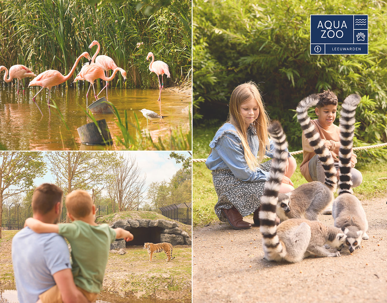 Ticket voor AquaZoo Leeuwarden!