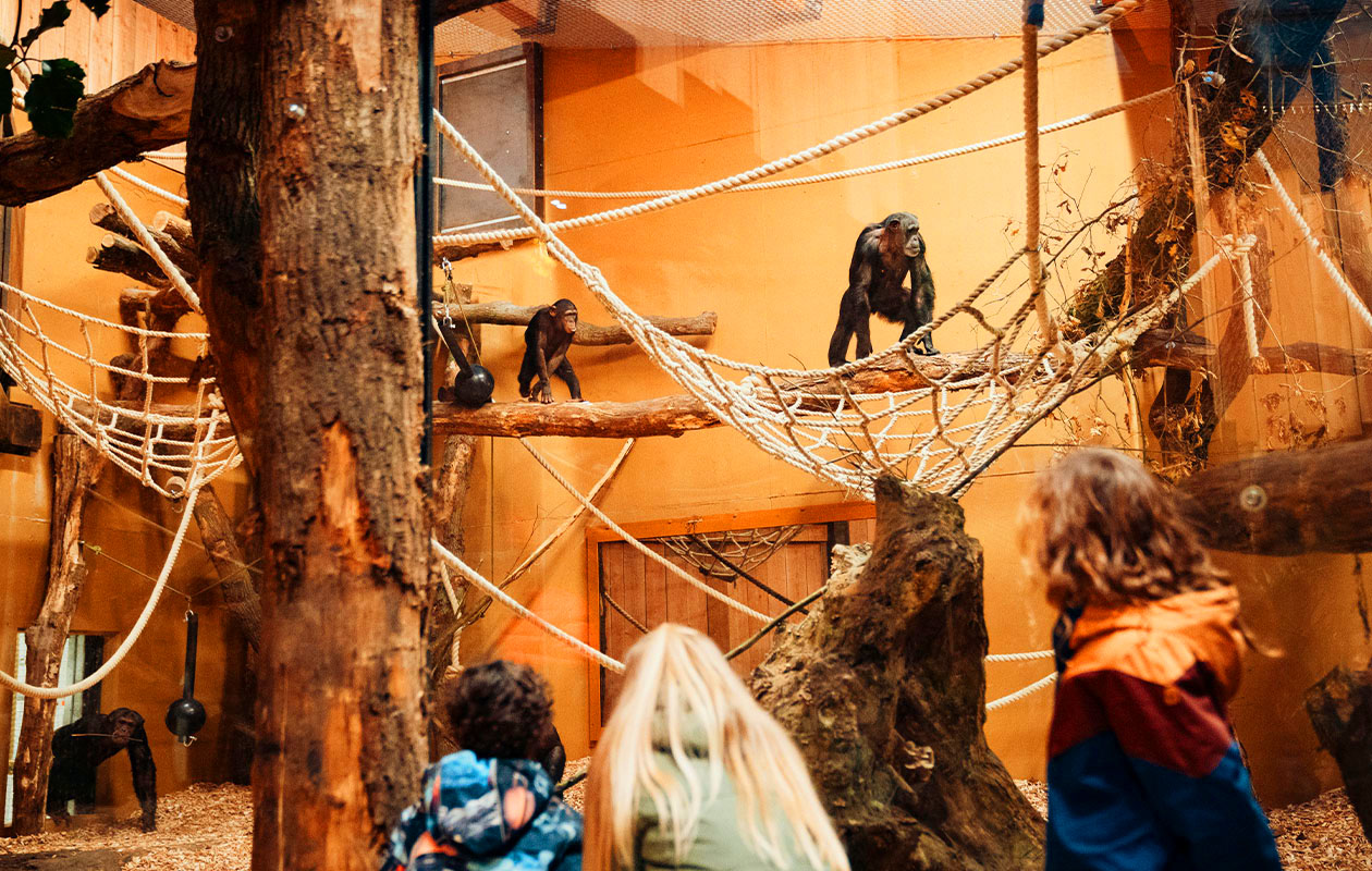 Ticket Dierenpark Amersfoort (2p.)