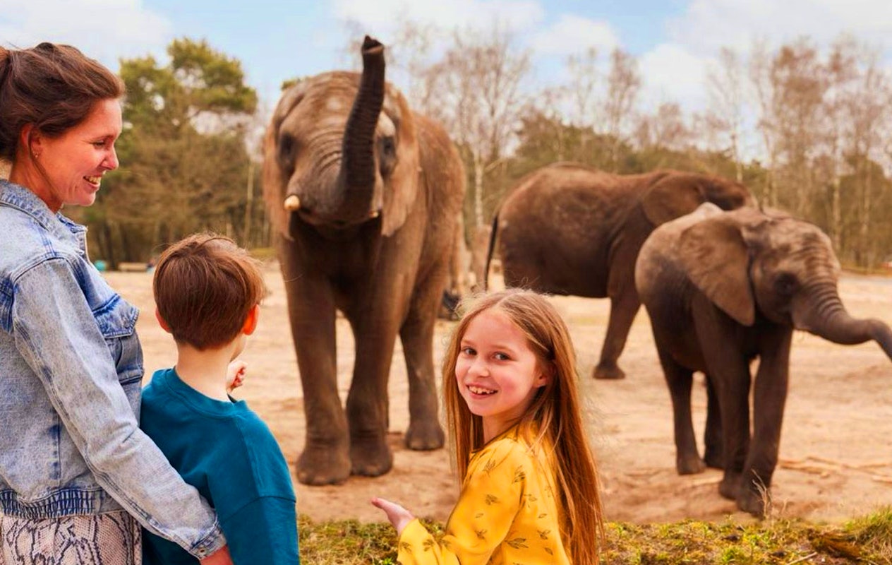 Ticket Safaripark Beekse Bergen pour 2 personnes