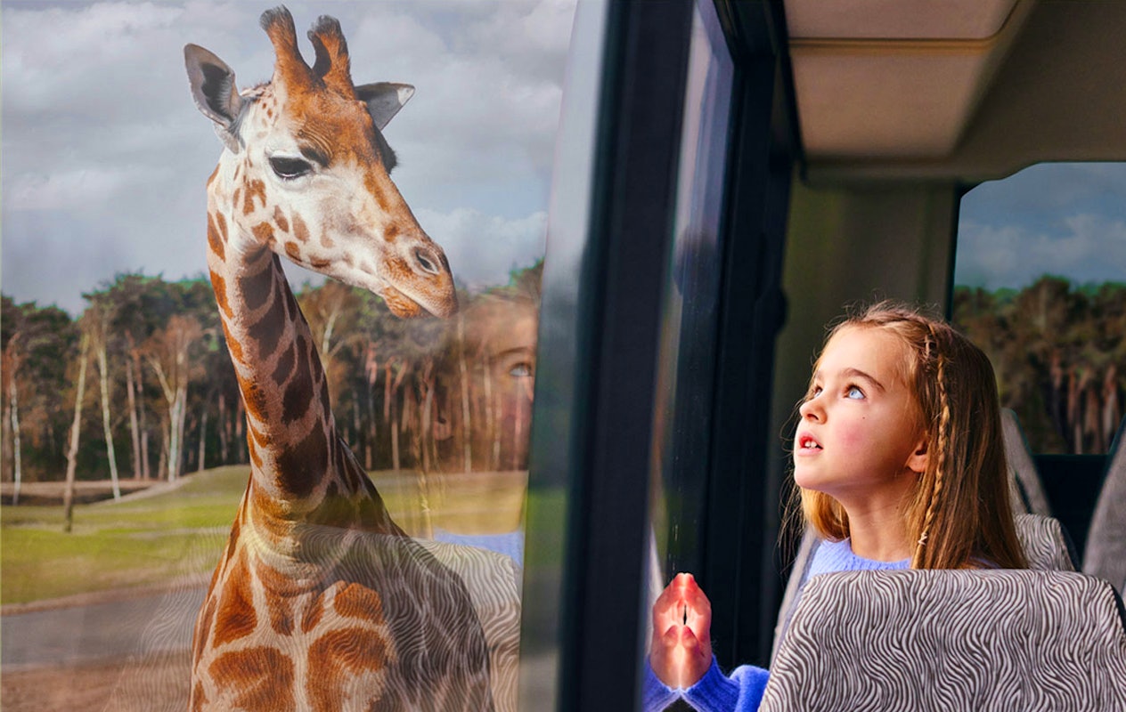 Ticket Safaripark Beekse Bergen pour 2 personnes