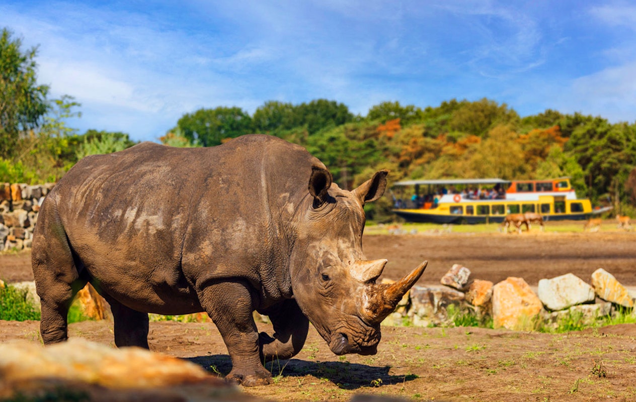 Ticket Safaripark Beekse Bergen pour 2 personnes