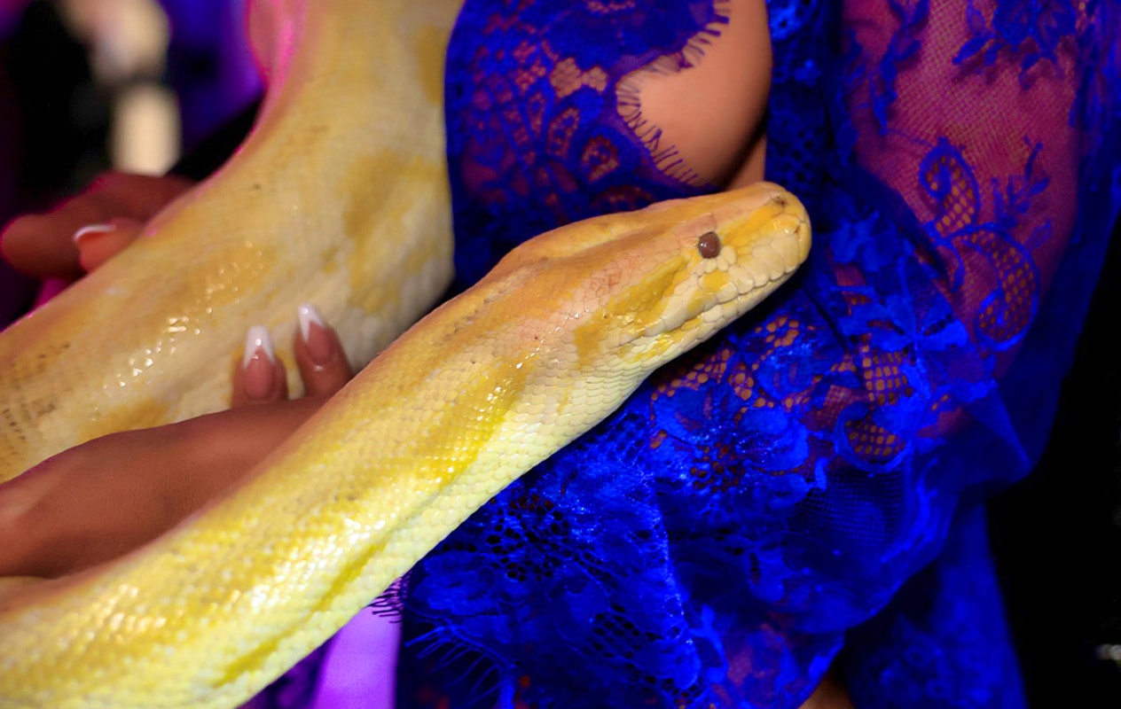 Ticket Ero-Expo Gent 14 t/m 16 maart (2p.)