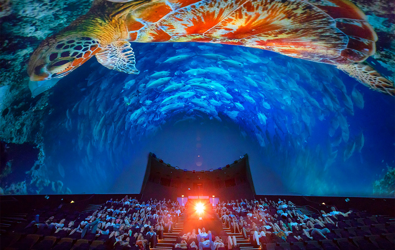 Ticket Museon-Omniversum (2p.)