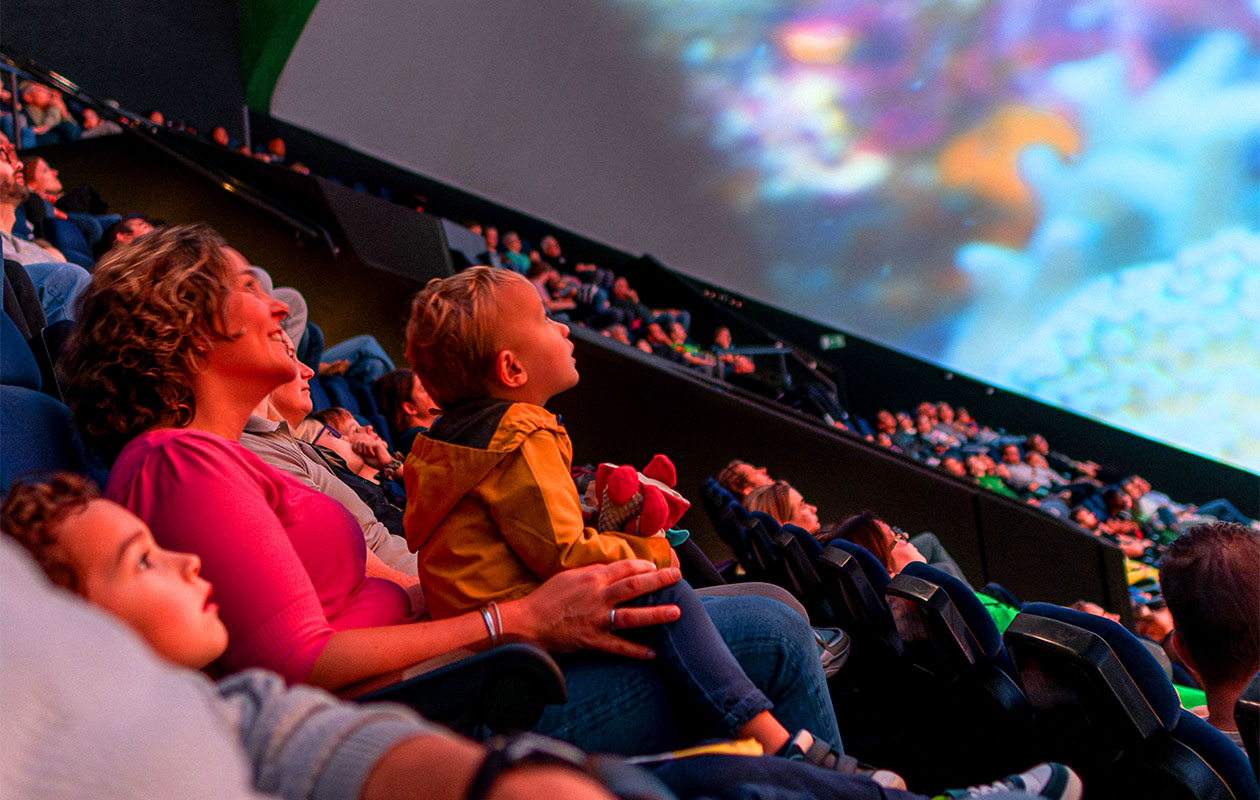 Ticket Museon-Omniversum (2p.)