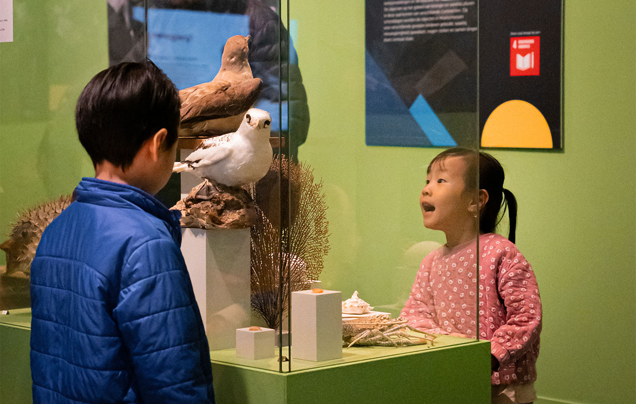 Ticket Museon-Omniversum (2p.)