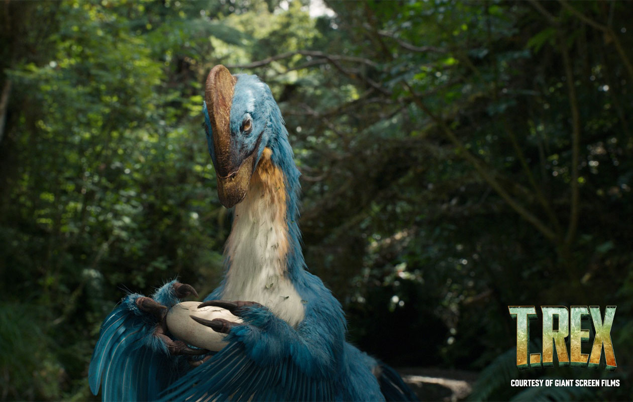 Ticket Museon-Omniversum (2p.)