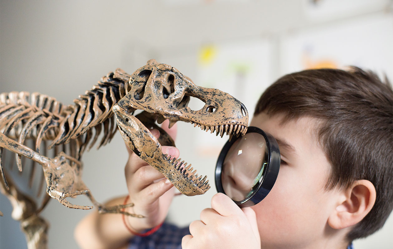 Ticket Museon-Omniversum (2p.)