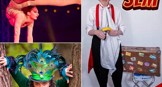 Ticket voor CAT Circus Art Theater Festival!