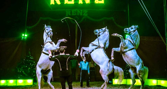 Ticket voor Circus Renz Berlin. in Kampen!