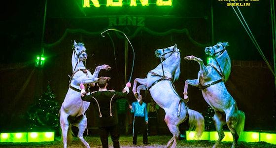 Ticket voor Circus Renz Berlin. in Sneek!