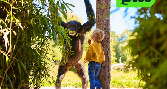 Ticket voor Eindhoven Zoo!