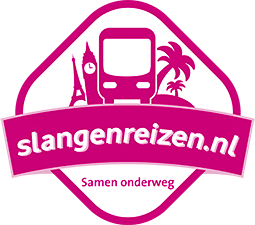 Kerstshoppen in een stad naar keuze!