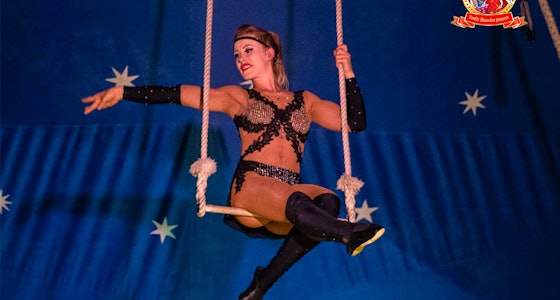 Ticket voor Kerstcircus Oosterhout van Nationaal Circus Barani!