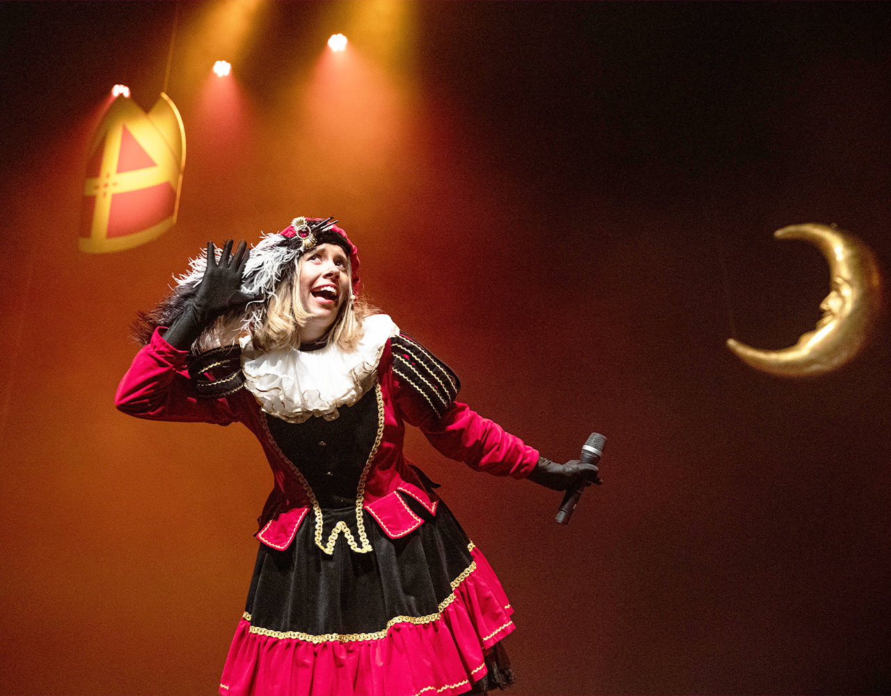 Feest voor Sinterklaas Tot 73 korting Ticketveiling.nl