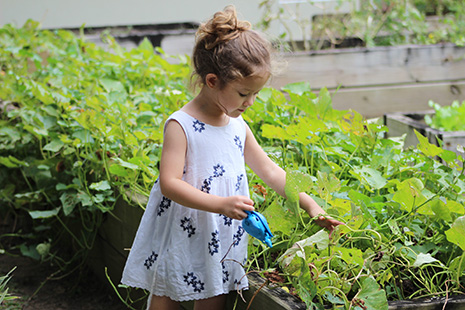 kind bezig in biologische moestuin