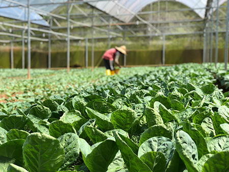 Biologische landbouw boerderij met boer