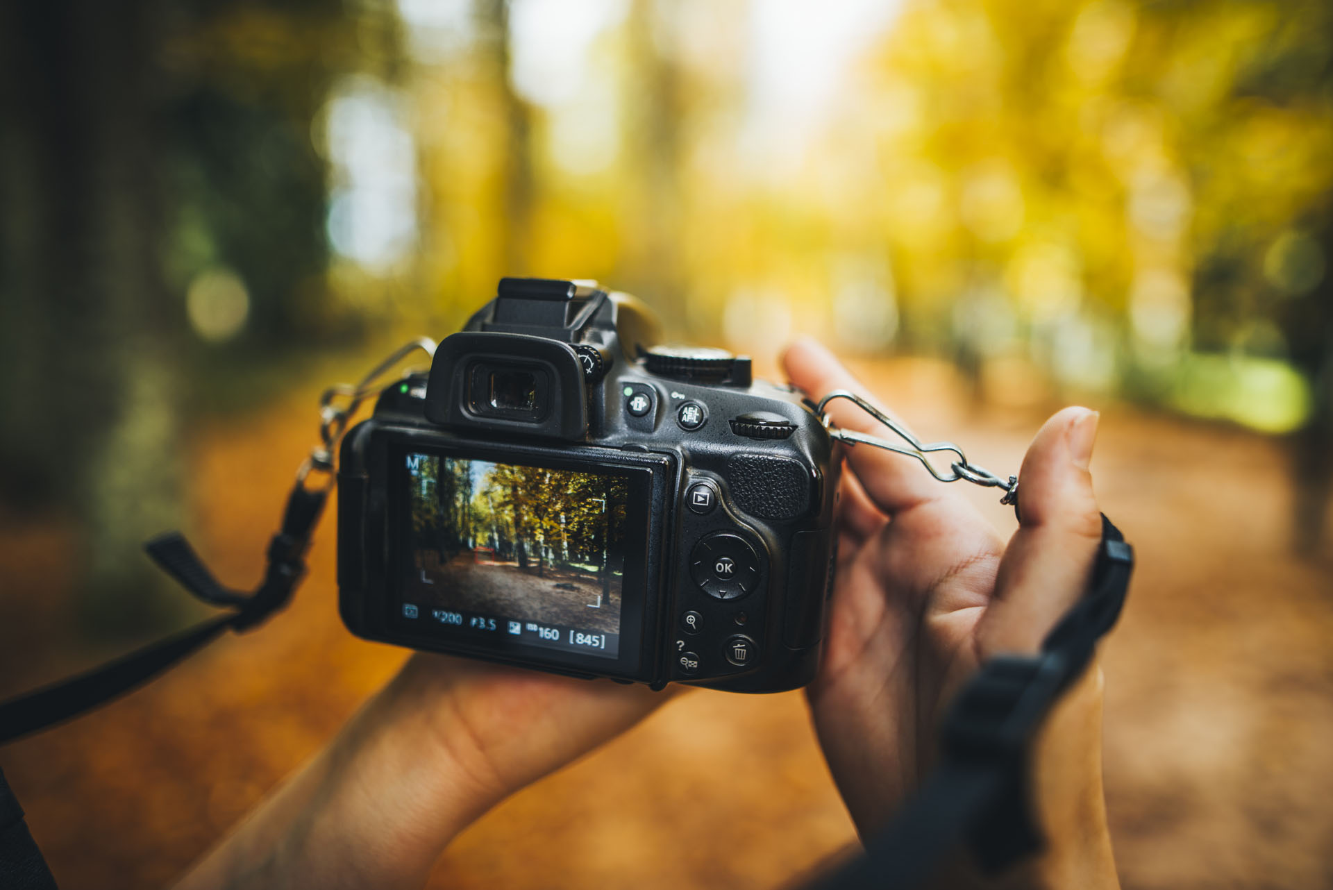 Cursus fotografie