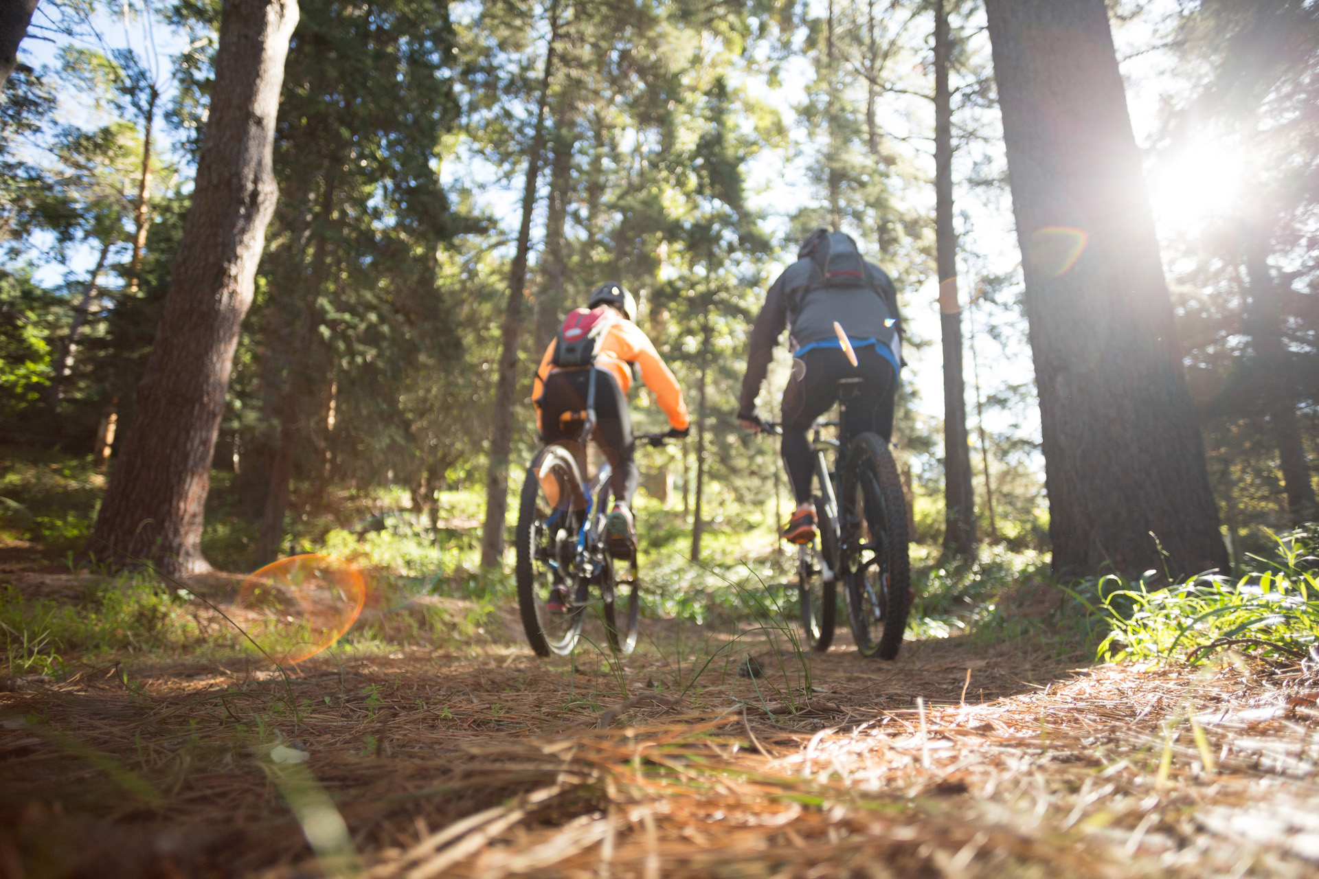 Actief dagje weg Drenthe