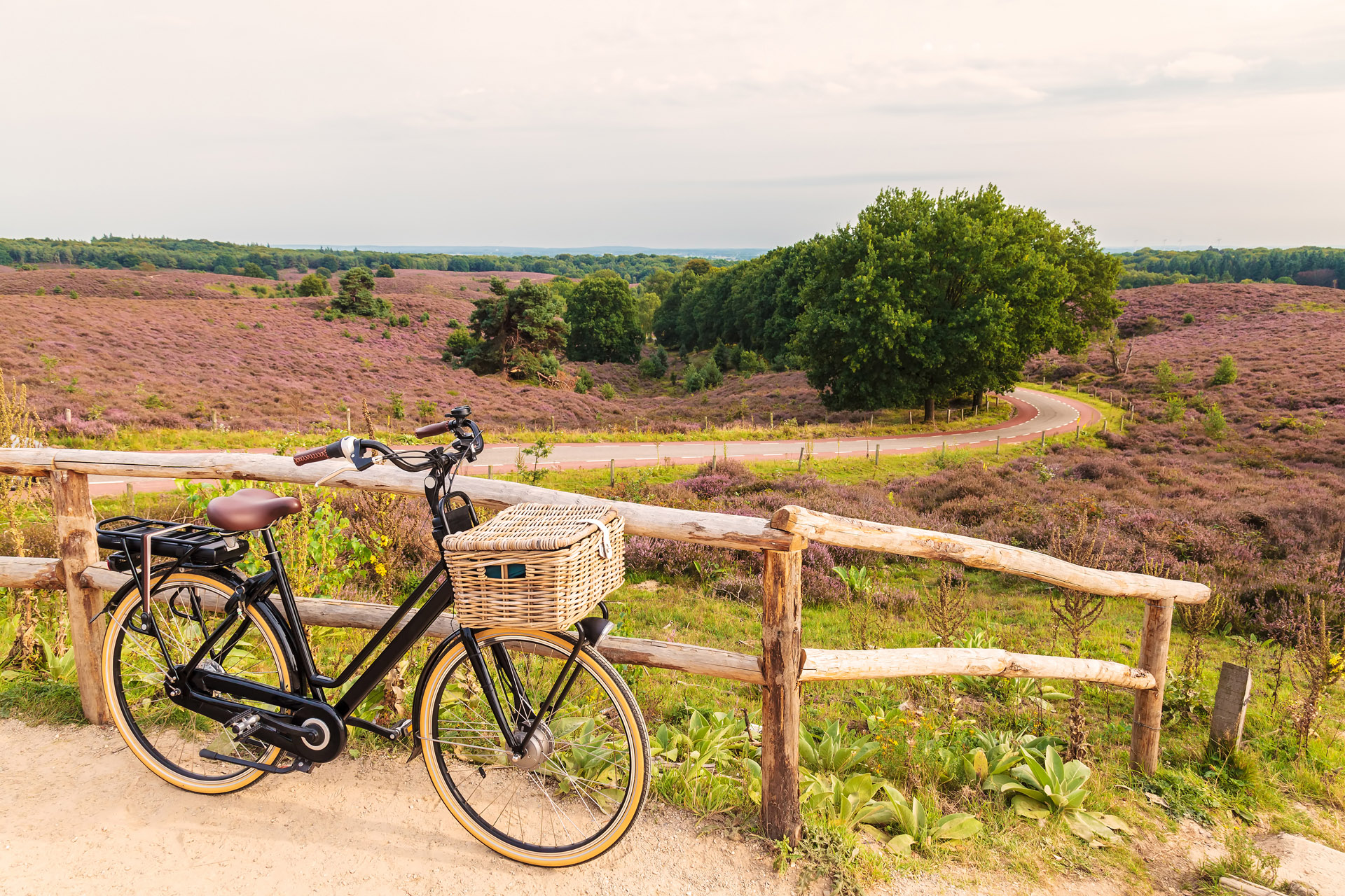 Veluwe Gelderland