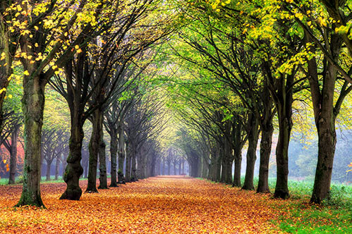 Dagje uit in Amsterdam: het Amsterdamse bos