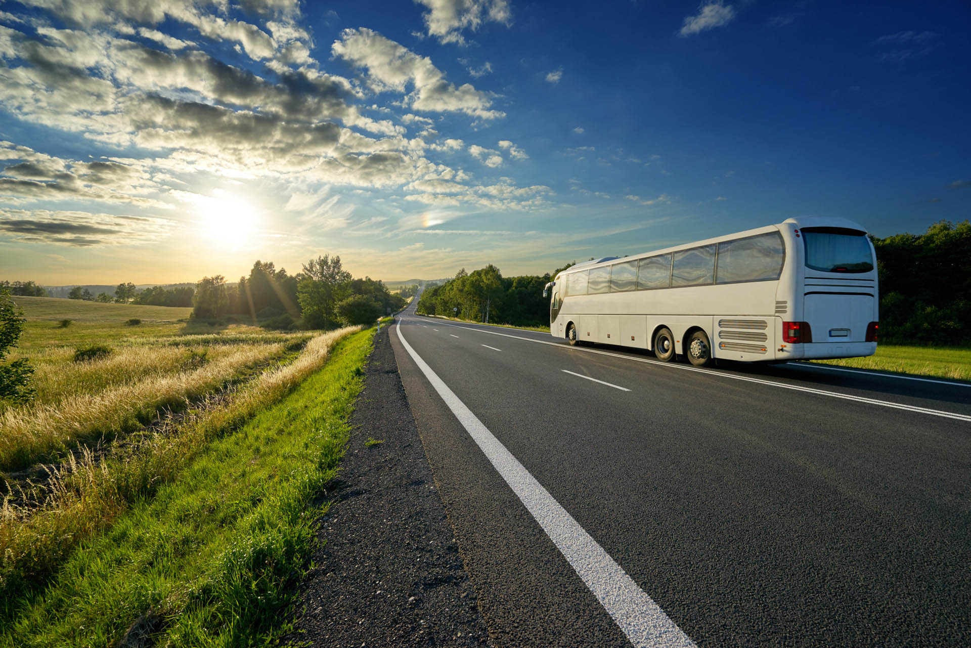 Dagtocht met de bus