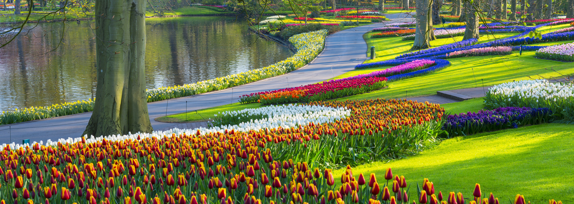 Dagtocht keukenhof