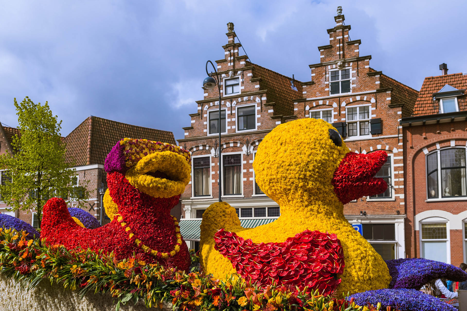 Dagtocht bloemencorso