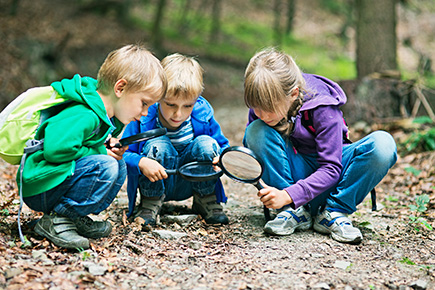 kinderen in de natuur op educatief onderzoek uit