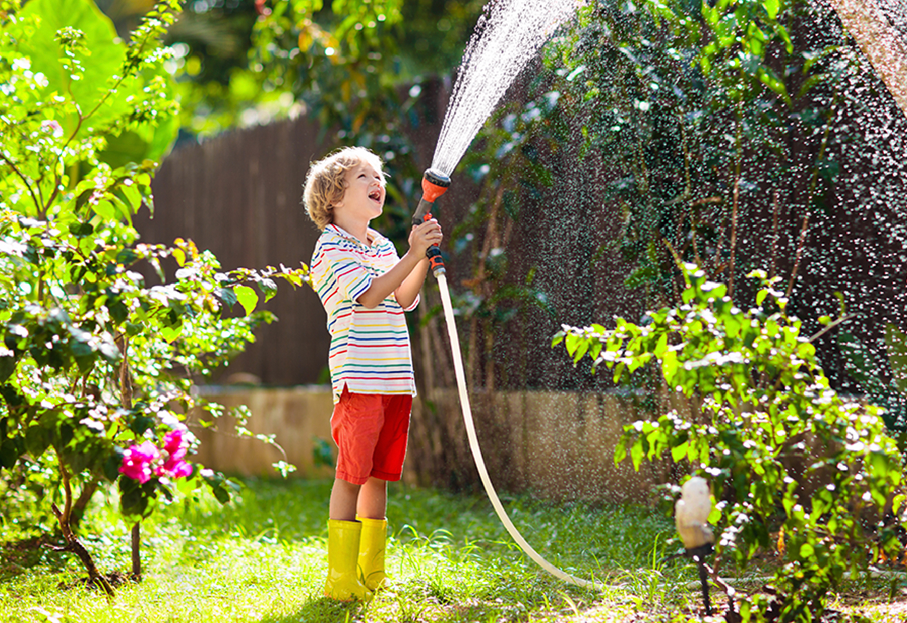 Kind sproeit tuin in zomer