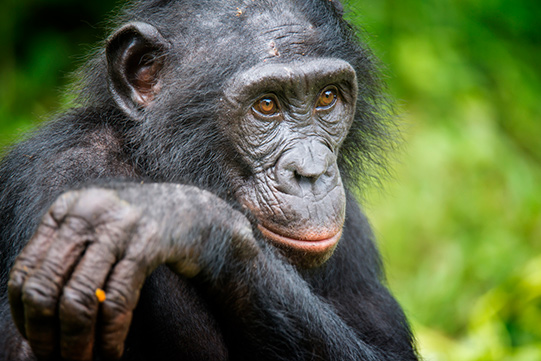 kölner-zoo-duitsland-dierentuin-dagje-uit