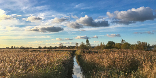 weekendje-weg-Nederland-natuurgebied-vakantieveilingen