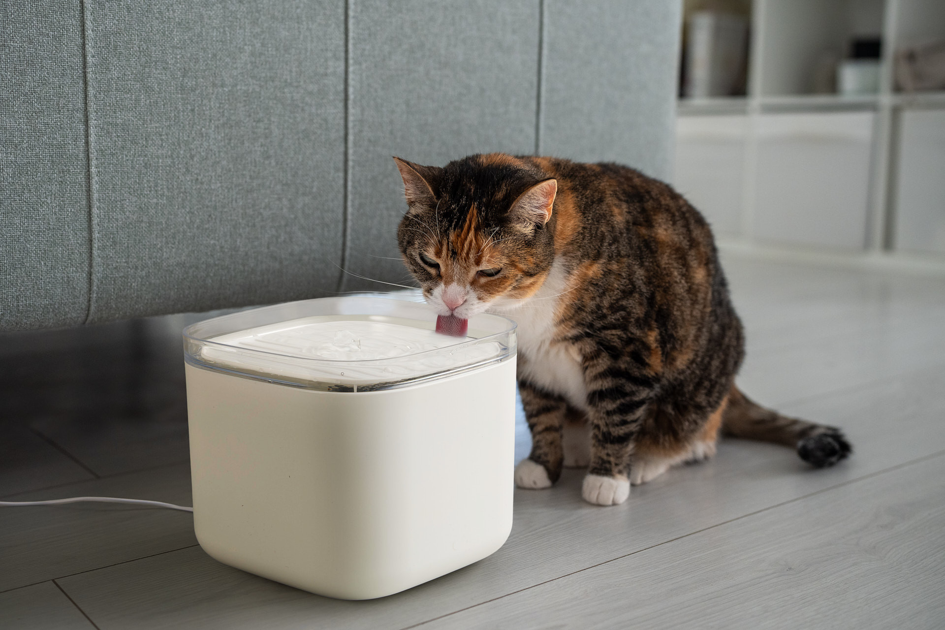 Venecon Goods drinkfontein kat en hond