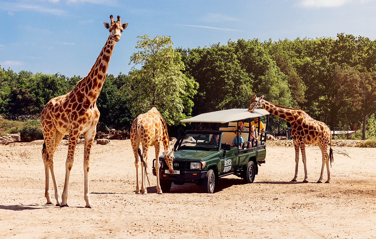 Verblijf een midweek in een Forest Cabin (5p.) 