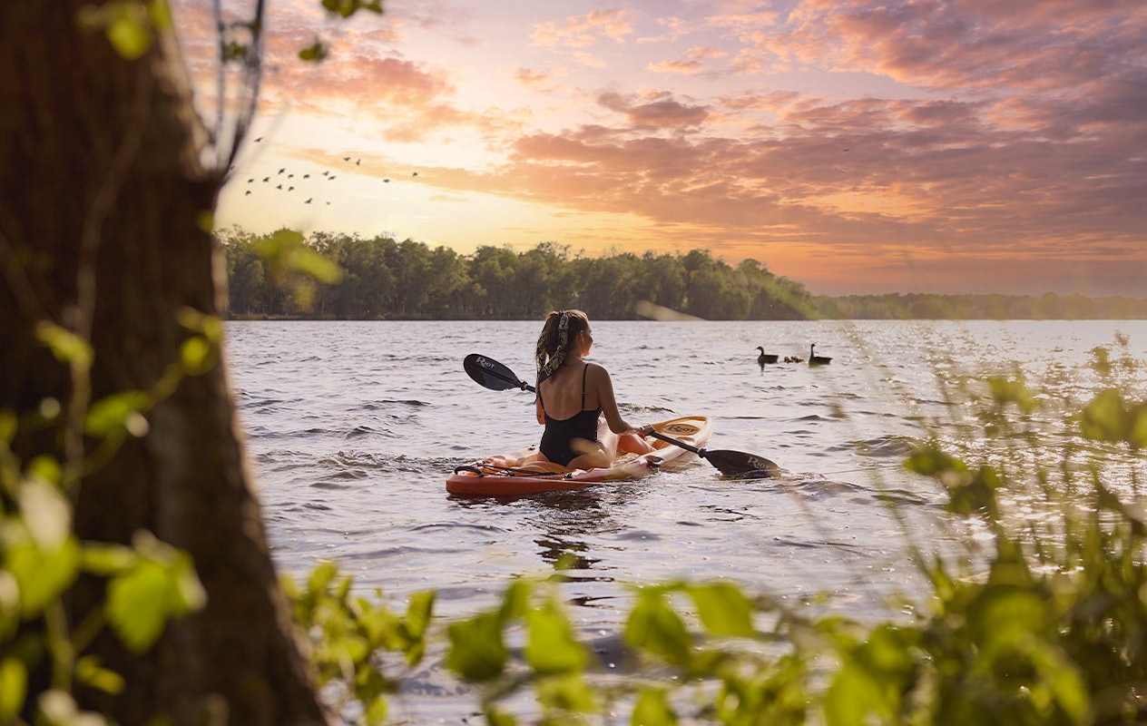 Verblijf een midweek in een Forest Cabin (5p.) 