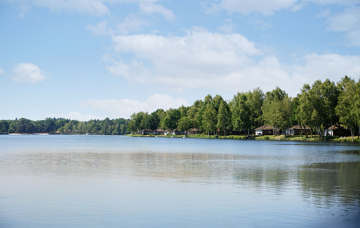 Verblijf een midweek in een Forest Cabin (5p.) 