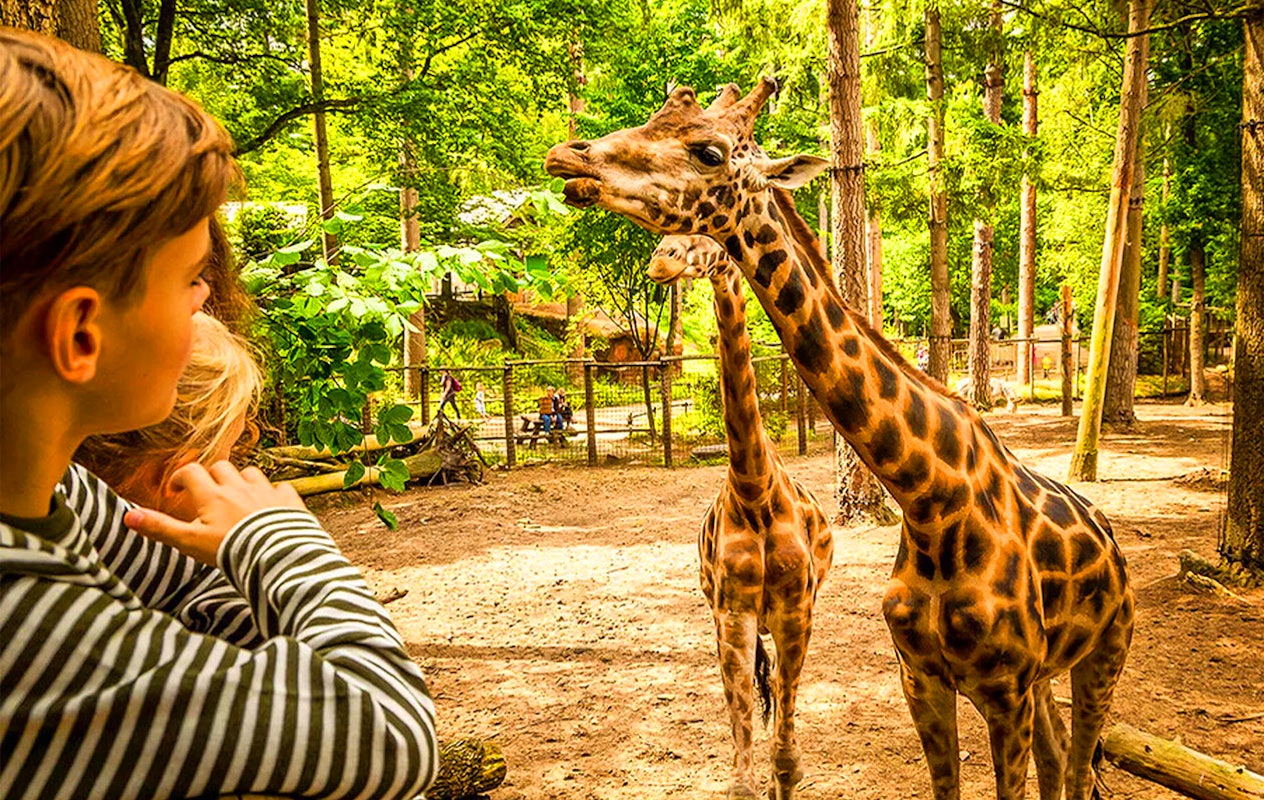 Billet Zoo d'Amersfoort (2p.)