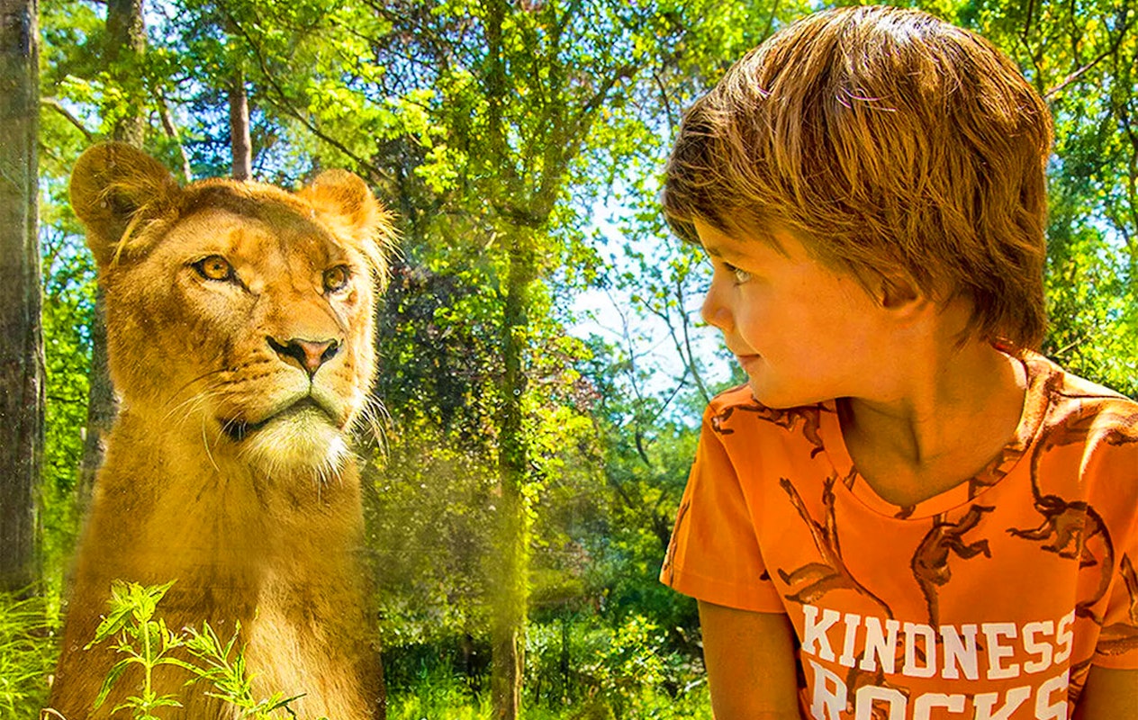 Billet Zoo d'Amersfoort (2p.)