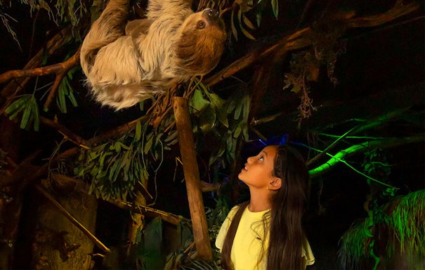 Ticket Dierenpark Amersfoort (2p.)