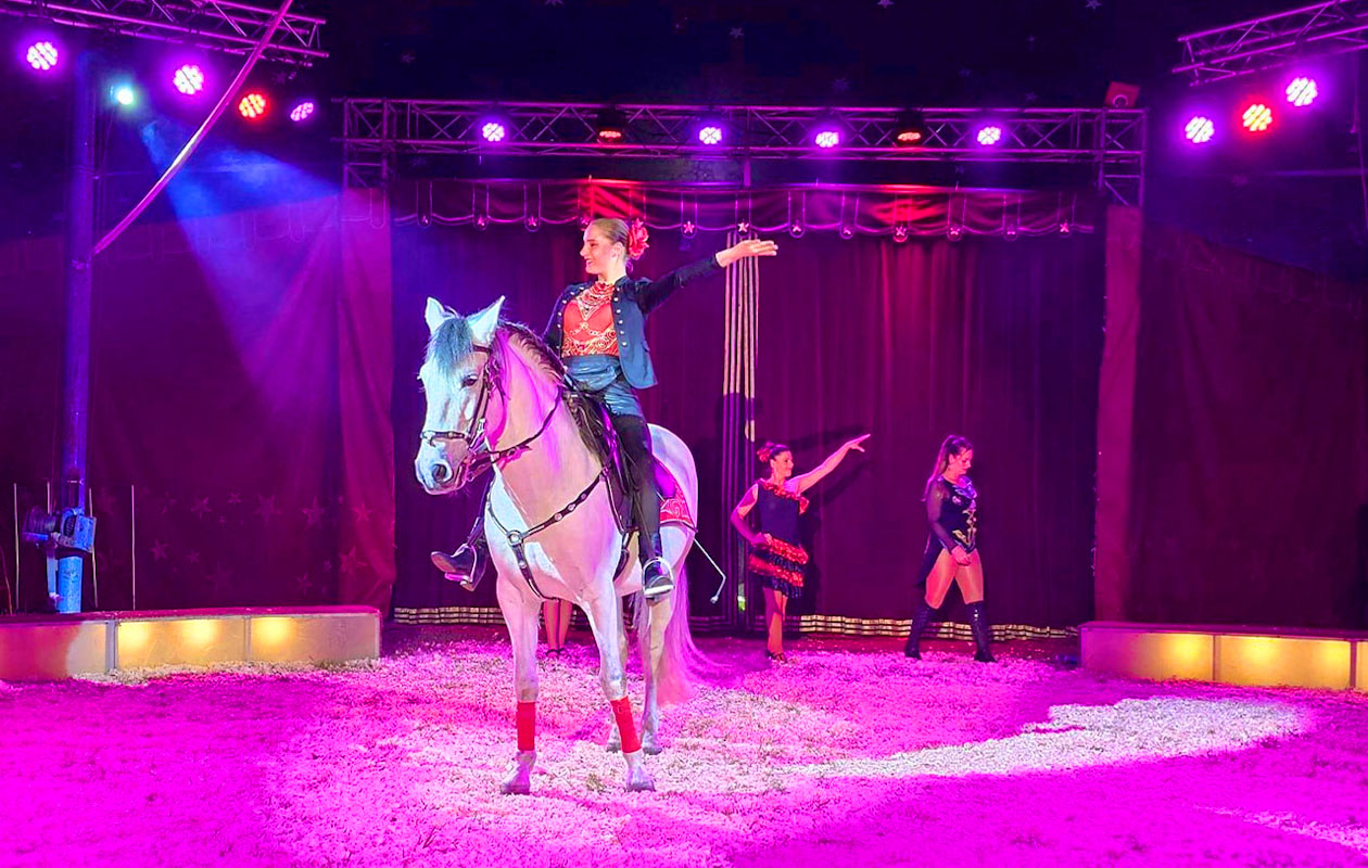 Ticket Kerstcircus Renz Berlin. Groningen (2p.)