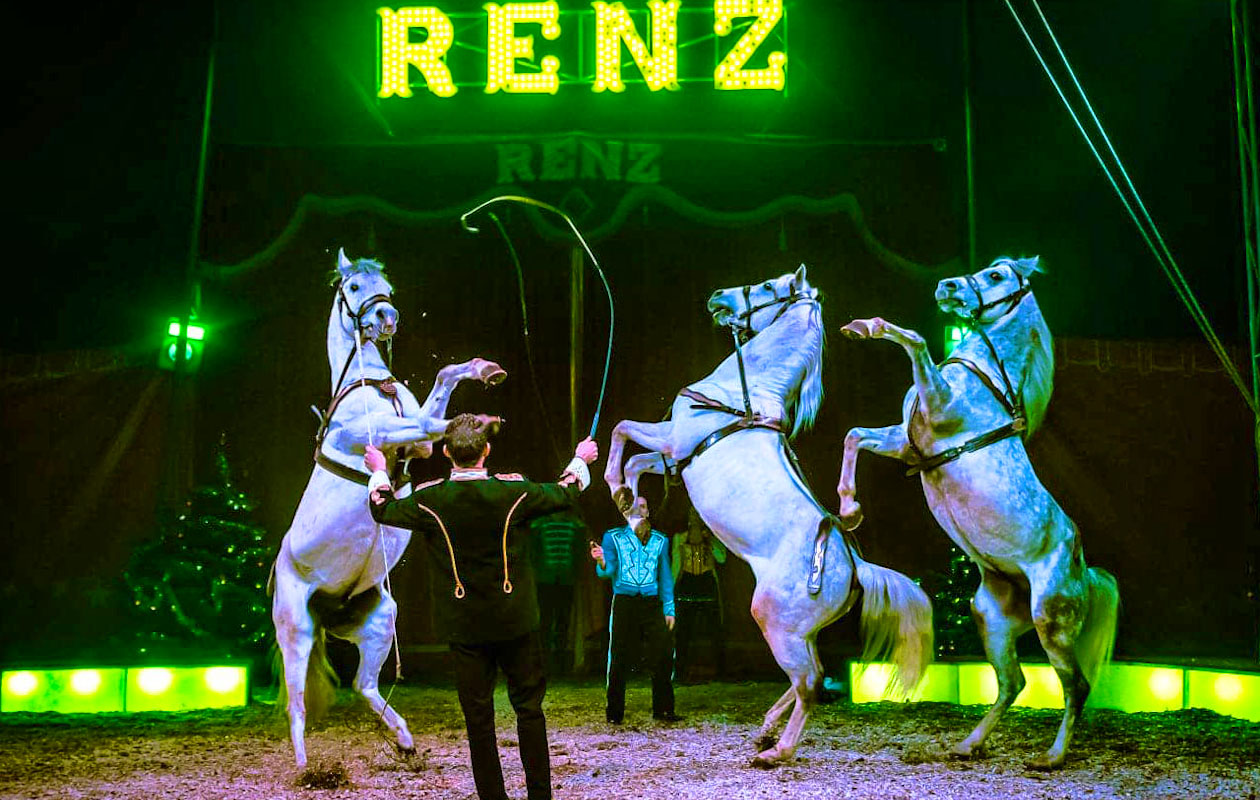 Ticket Kerstcircus Renz Berlin. Groningen (2p.)