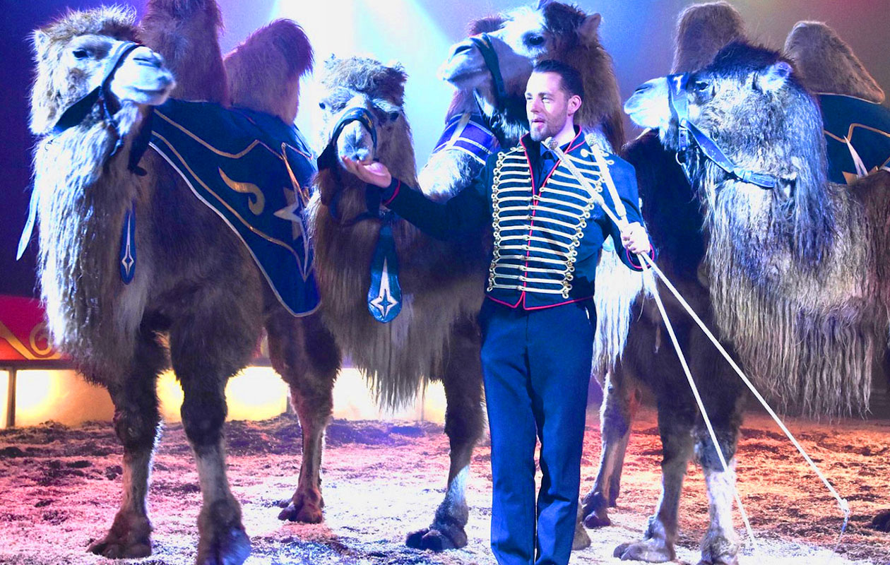 Ticket Kerstcircus Renz Berlin. Groningen (2p.)