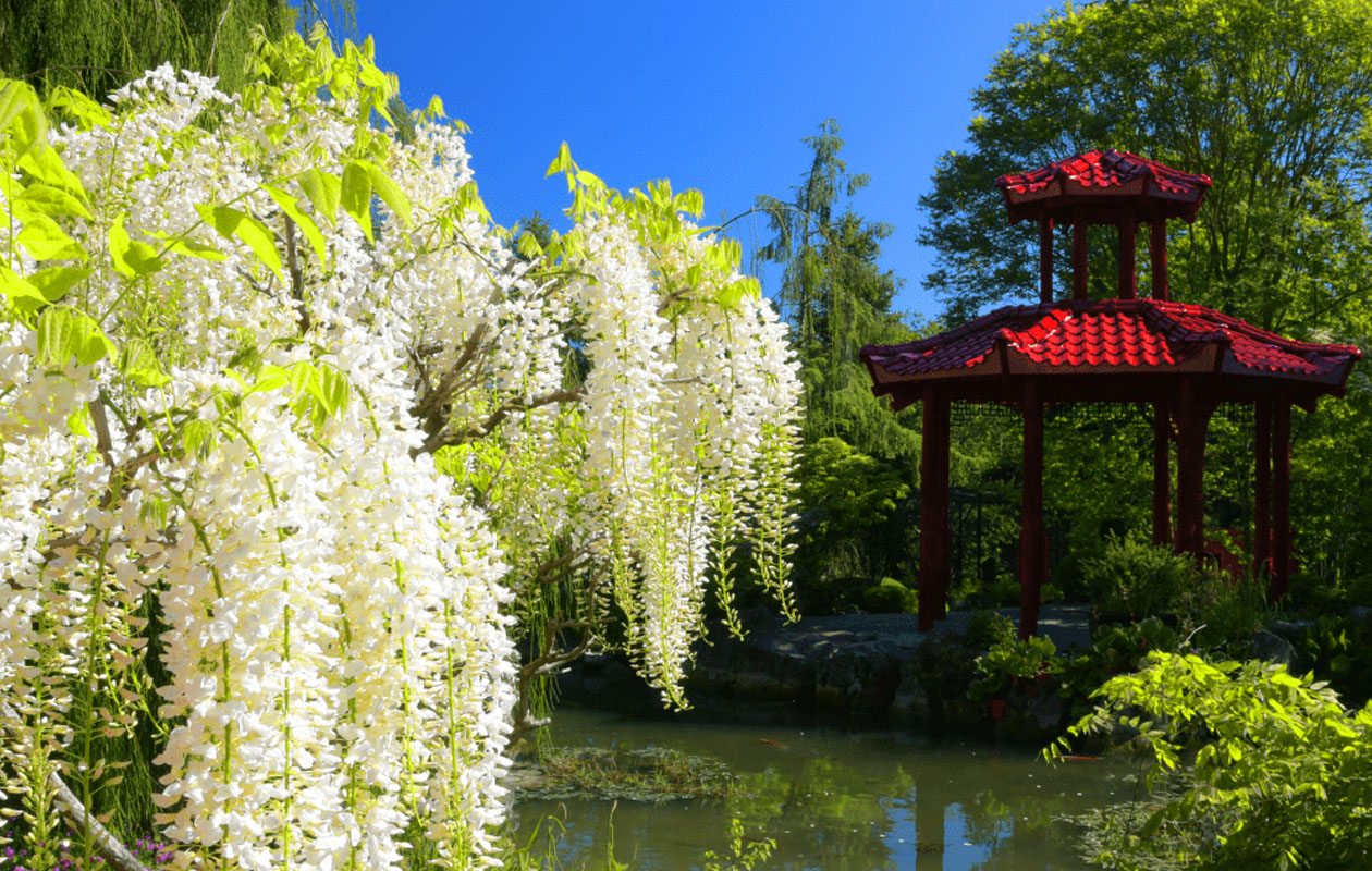 Ticket Mondo Verde + all you can eat (2p.)