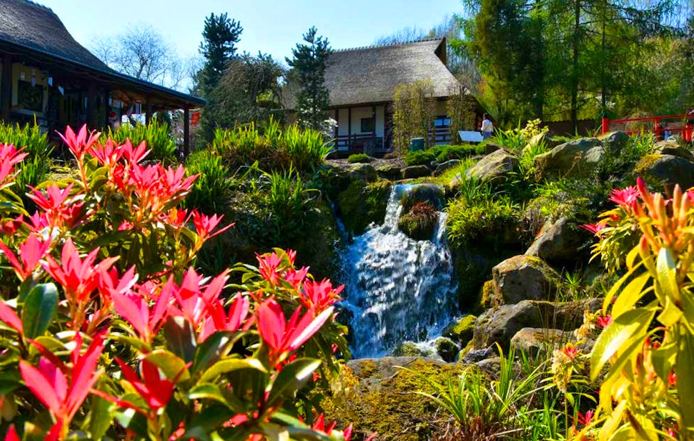 Ticket Mondo Verde + all you can eat (2p.)